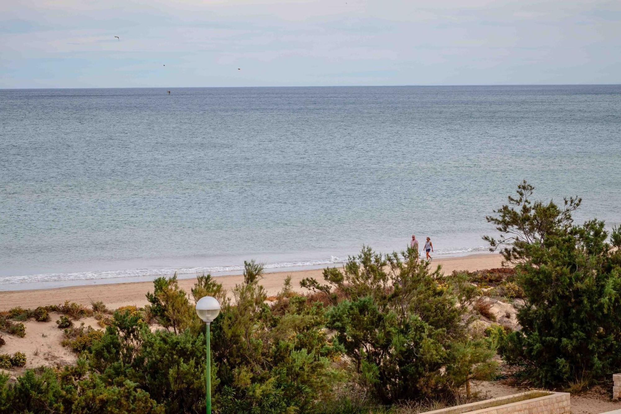 Relax Total Junto Al Mar Apartment Oliva Bagian luar foto